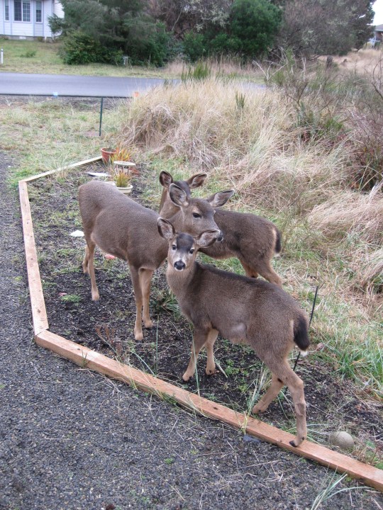 Photo by Chris Westlund