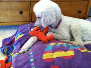 thumb_IMG_0308 - Version 2_1024