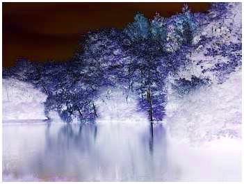 744908720_2654497633_0