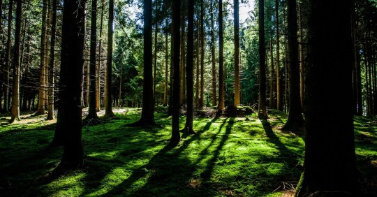 Anne-1-25-16 post pic