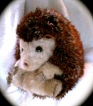 thumb_Photo on 2011-10-09 at 10.15 #2_1024